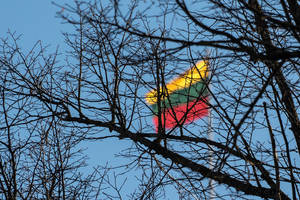 Patriotizmo protrūkis: prieš  Vasario 16-ąją Lietuvos vėliavos tapo deficitu