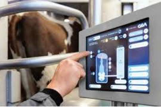 Emigracija ar darbas Lietuvoje? Atsakyme nebus žodžio „alga“    