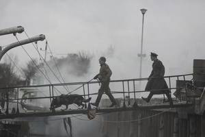 10 faktų apie filmą „Pelėdų kalnas“ iš režisieriaus Audriaus Juzėno ir komandos lūpų