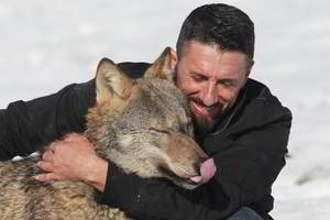 Ūkininkas prisijaukino vilką: įžvelgė jame JAV prezidentą