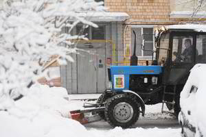 Maskvoje virsta apledėję medžiai, sugadinta daugybė automobilių