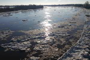 Pamaryje – nepaprastas reginys: ledo sangrūda su trenksmu nugarmėjo į marias