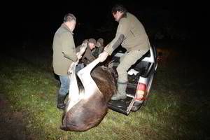 Brakonieriai iš Kauno smaginosi prie Radviliškio: už briedžio patelę – tūkstantinės baudos