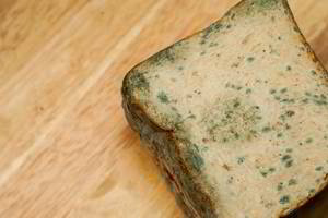 Negalima ignoruoti: štai kas gresia suvalgius supelijusį maistą