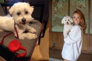 Indrė Morkūnienė visuomenės prašo ištiesti pagalbos ranką