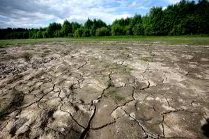 Mokslininkė: „Lietuviai nesuvokia klimato kaitos keliamų grėsmių, ir tai – problema“