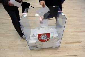 Referendumas dėl dvigubos pilietybės gali išspręsti ir kitą klausimą