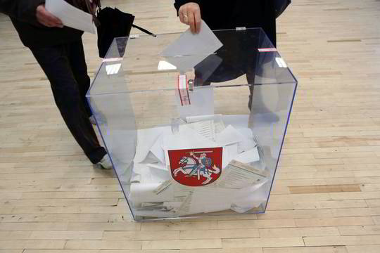 Referendumas dėl dvigubos pilietybės gali išspręsti ir kitą klausimą