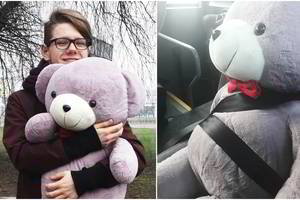 Kelionė su meškinu tapo galvos skausmu – tokius reikalavimus pildo ne visi