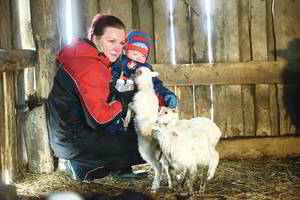 Miestietės gyvenimas kaime: avis pateikė rekordinę staigmeną