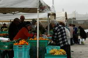 Kodėl britų ūkininkai po „Brexito“ bijo prarasti darbuotojus iš Rytų Europos?