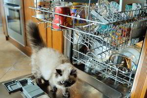 Kada pastarąjį kartą valėte šiuos 5 buities prietaisus? Nebeatidėliokite