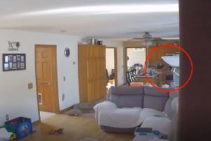 Bandydamas pavogti blynus šuo namuose sukėlė gaisrą