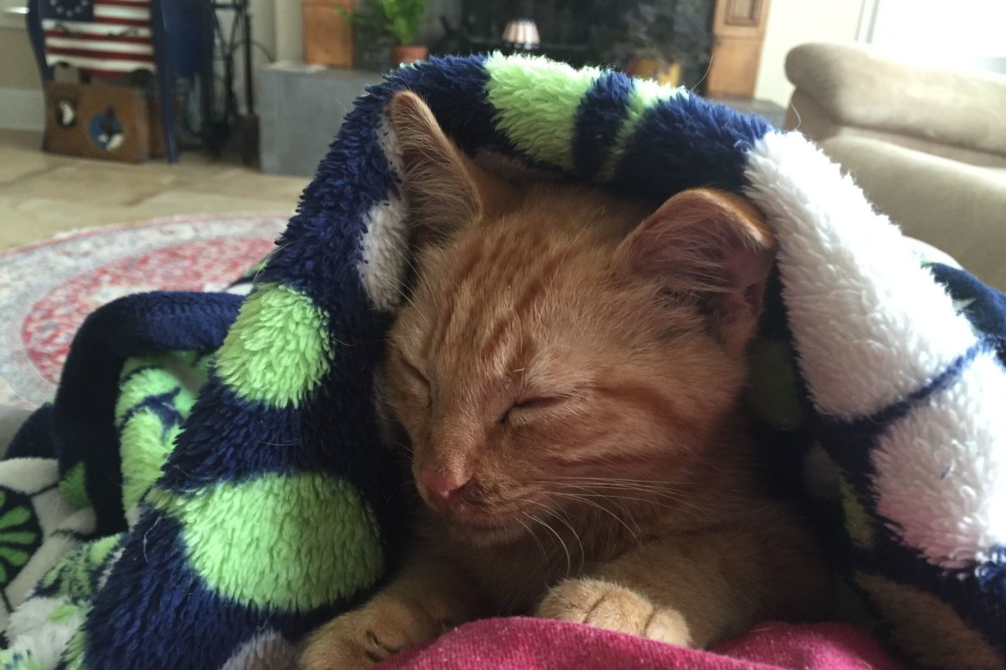 Vargšas Thomas netrukus iškeliavo į amžinosios medžioklės plotus.<br> Imgur.com nuotr.