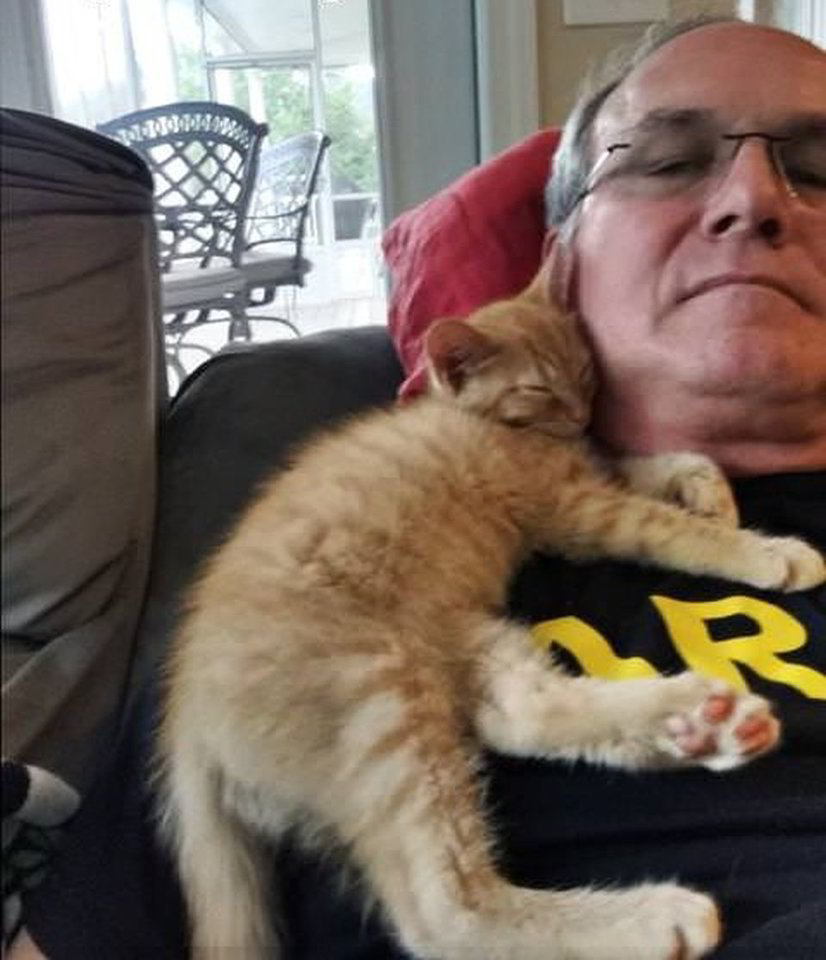 Thomas tapo tikru tėvų numylėtiniu. <br> Imgur.com nuotr.