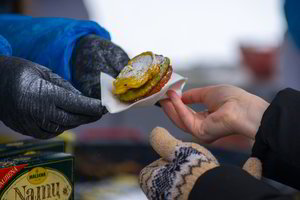 Užgavėnėms pasiūlė išsikepti kitokių blynų