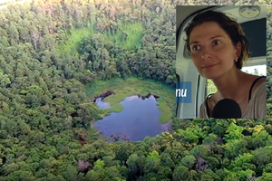 Džiunglėse pasiklydusios lietuvės brolis: „Ji perduota medikams, jaučiasi pavargusi“