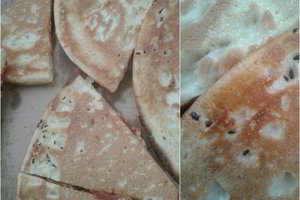 Radinys picoje privertė kviesti policiją: restoranas buvo bemat uždarytas