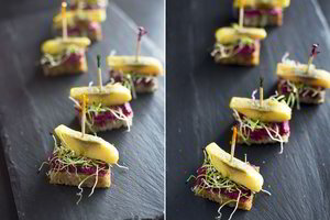 Silkių užkandėlė taps tikra švenčių stalo pažiba