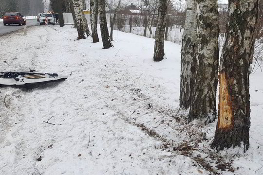 Vilniaus pakraštyje saugos tarnybos automobilis įsirėžė į medį