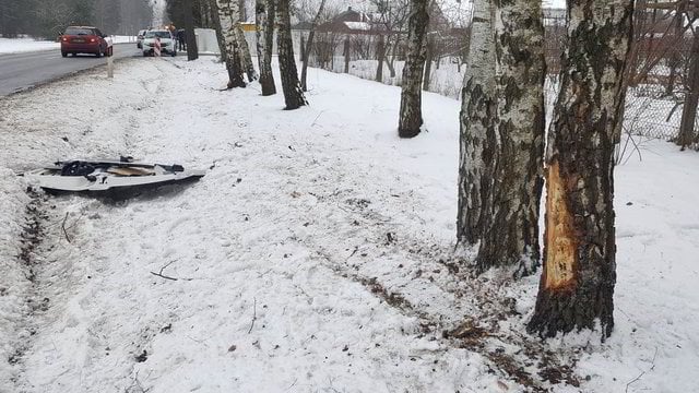 Vilniaus pakraštyje saugos tarnybos automobilis įsirėžė į medį