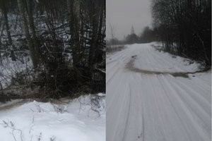 Pamatęs, kas vyksta pamiškėje, vyras skubėjo išsitraukti fotoaparatą
