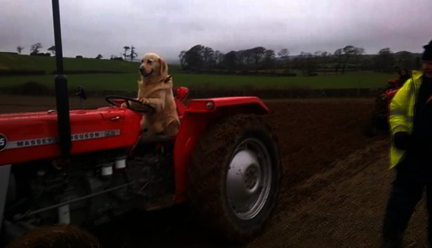 Negalėjo patikėti, kol nepamatė – šuo vairuoja traktorių