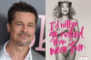 Žvaigždžių savaitėje – Brado Pitto avarija ir nuoga „X failų“ žvaigždė