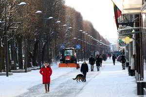 Laisvės alėja – tvarkinga, bet beveidė?