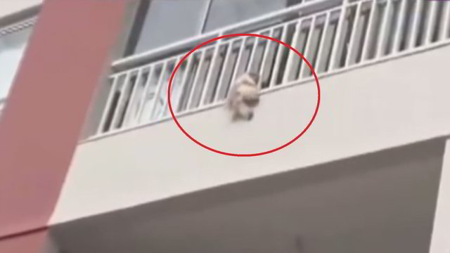Balkone pakibusio šuns drama sustingdė žmonių širdis