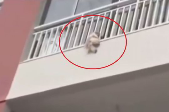 Balkone pakibusio šuns drama sustingdė žmonių širdis
