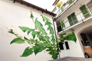 Po moters  prisilietimo skirtinguose miestuose pastatai tiesiog pražysta