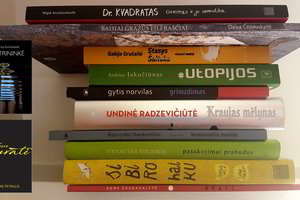 Kūrybiškiausių 2017 metų knygų dvyliktukas – margas ir jaunatviškas