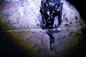 Kauno forte – egzekucija šikšnosparniams