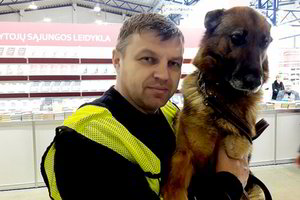 Vokiečių aviganė Demi rūpinsis Vilniaus knygų mugės dalyvių saugumu