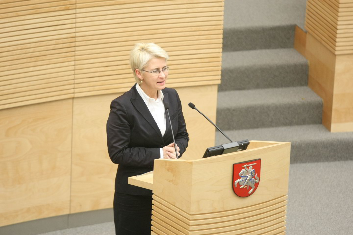  N.Venckienė iš Lietuvos pabėgo 2014 metais.<br> R.Danisevičiaus nuotr.