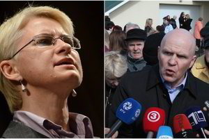 L. Stankūnaitės advokatas: „N. Venckienei protinga būtų paprašyti, kad ją sugrąžintų“