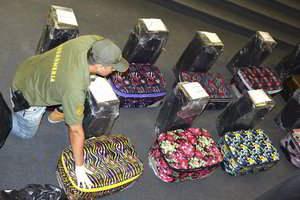 Diplomatiniu paštu narkotikus siekę išsiųsti nusikaltėliai įkliuvo patys