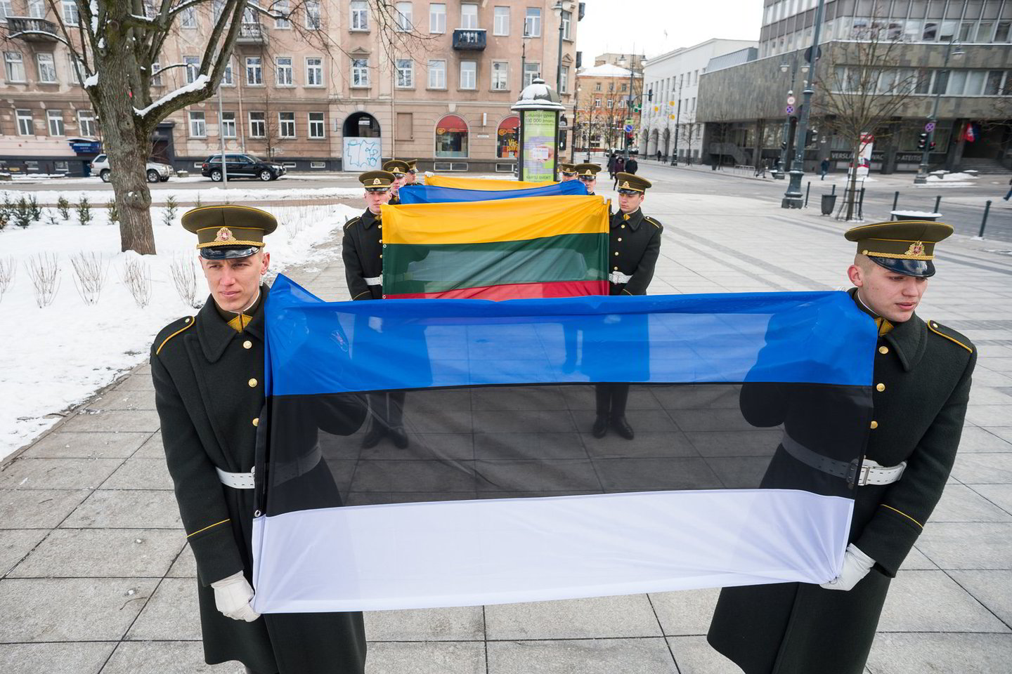  Lietuva sveikina Estiją nepriklausomybės 100-mečio proga.<br> A.Pliadžio nuotr.
