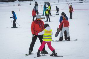 Pavasaris ateina su trenksmu – žibučių ieškoti dar per anksti