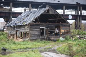Vilniaus valdžia: romų taboras mažėja