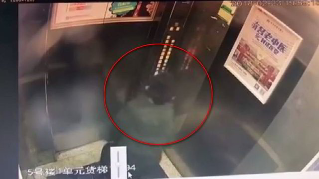 Berniukas užstrigo lifte – sužinojus, kodėl tai nutiko, kilo įtūžis 