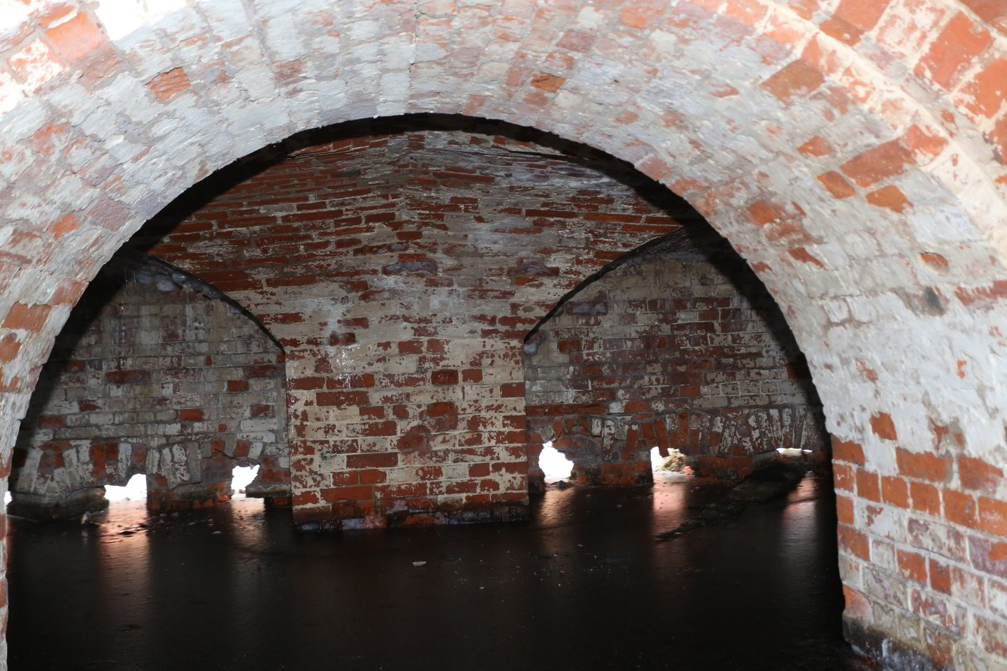  Didžiausios šikšnosparnių žiemavietės yra Kauno fortuose, Panerių tunelyje Vilniuje ir Klaipėdos rajone esančiuose karinės paskirties statiniuose. <br> M. Patašiaus nuotr.