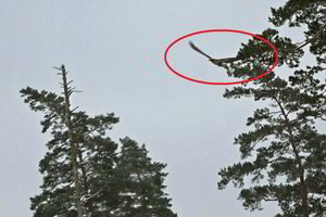 Į Latviją važiavę lietuviai užfiksavo netikėtą reginį danguje