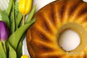 Paprastas ir greitai pagaminamas gaivus jogurtinis keksas