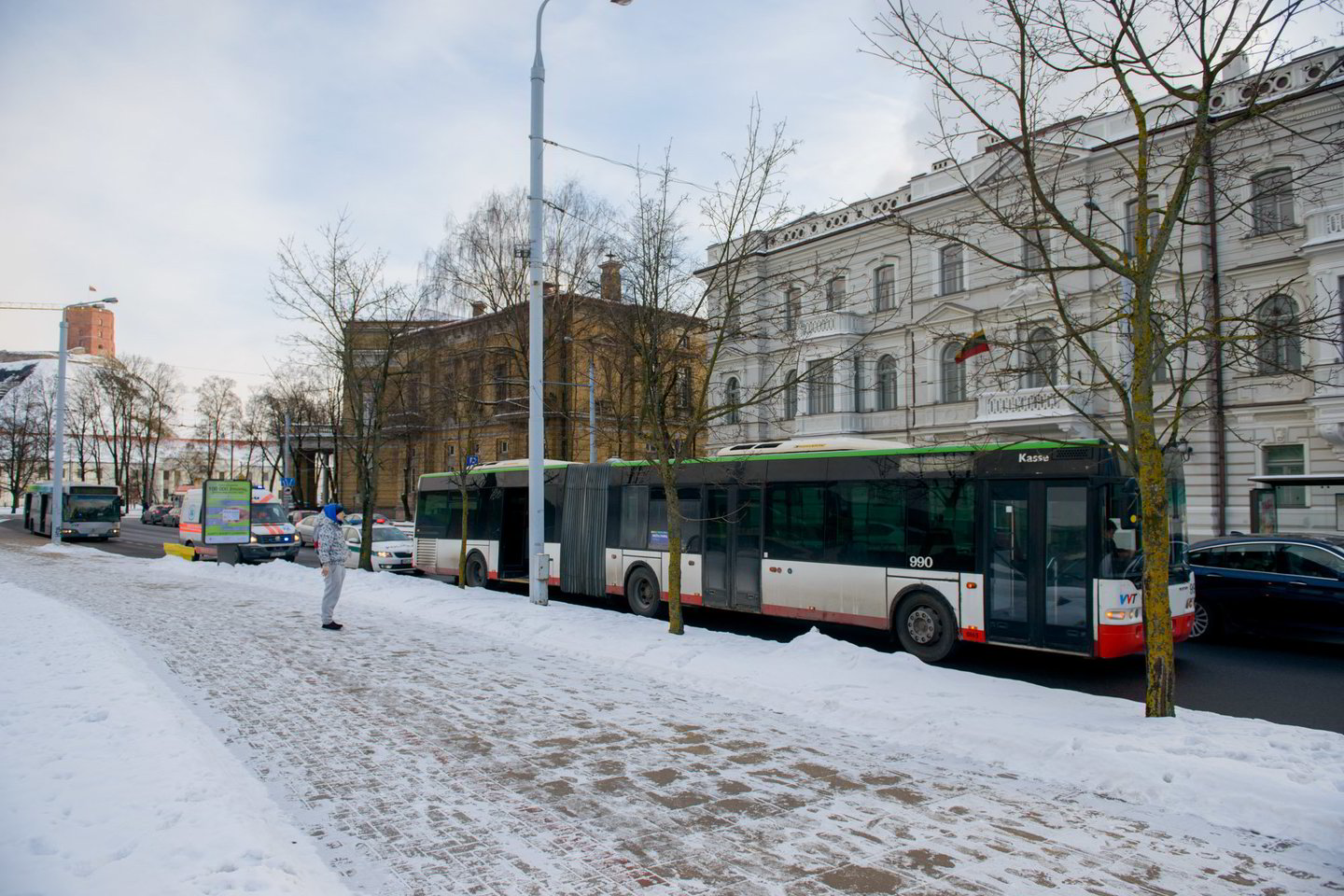  Vilniaus policijai neaišku, kaip iš autobuso iškrito keleivis, pareigūnai prašo jūsų pagalbos.<br> J.Stacevičiaus nuotr.
