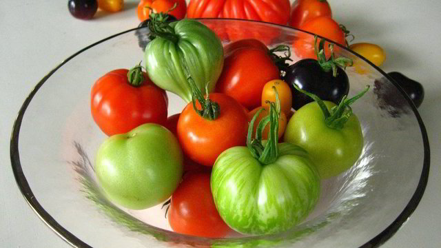 Dažniausios pomidorų daiginimo klaidos ir gudrybė derliui paankstinti