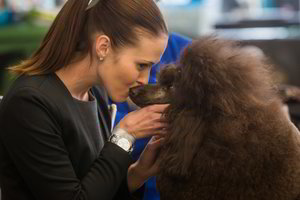 Vilniuje dėl grožio varžosi retų veislių šunys