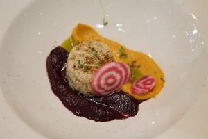 „Gero skonio“ klubas pasitiko kalendorinį pavasarį ir paminėjo Lietuvos valstybės šimtmetį