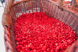 ES grasina įvesti importo muitus riešutų sviestui, apelsinų sultims ir burbonui